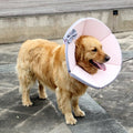 Soft cloth dog recovery collar in yellow on a white background, showing Elizabeth Circle design for post-surgery care