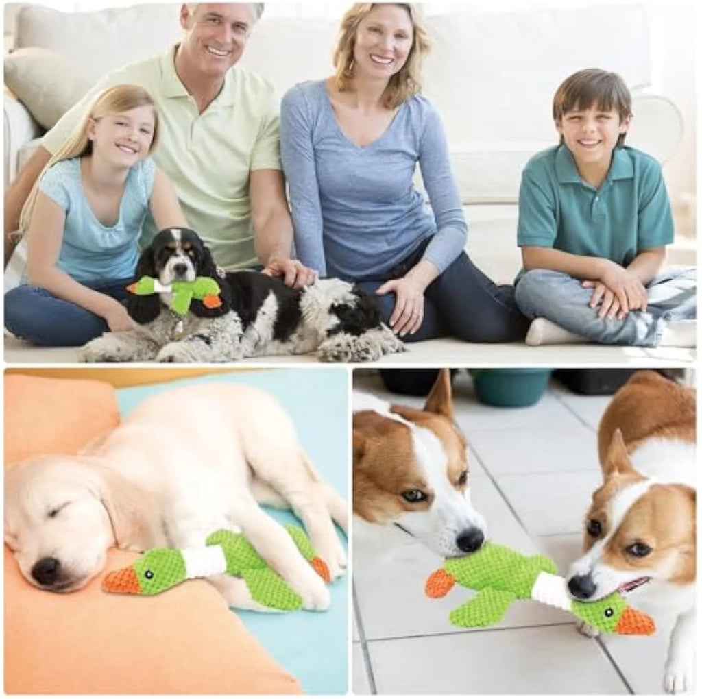 Blue durable plush duck dog toy with squeakers for large breed chewing and play.