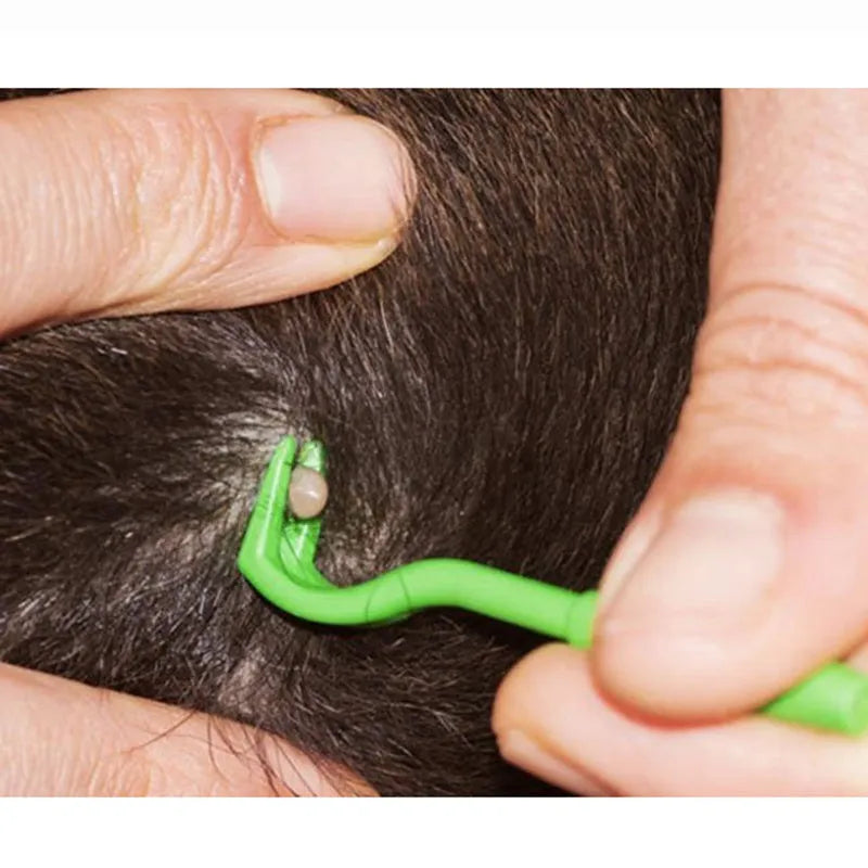 Three plastic tick removal hook tools for dogs and cats in blue colour