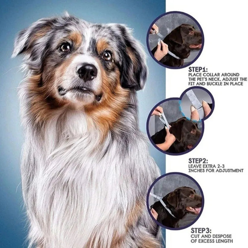 Plastic flea collar for cats and dogs in rainbow packaging with adjustable ring design