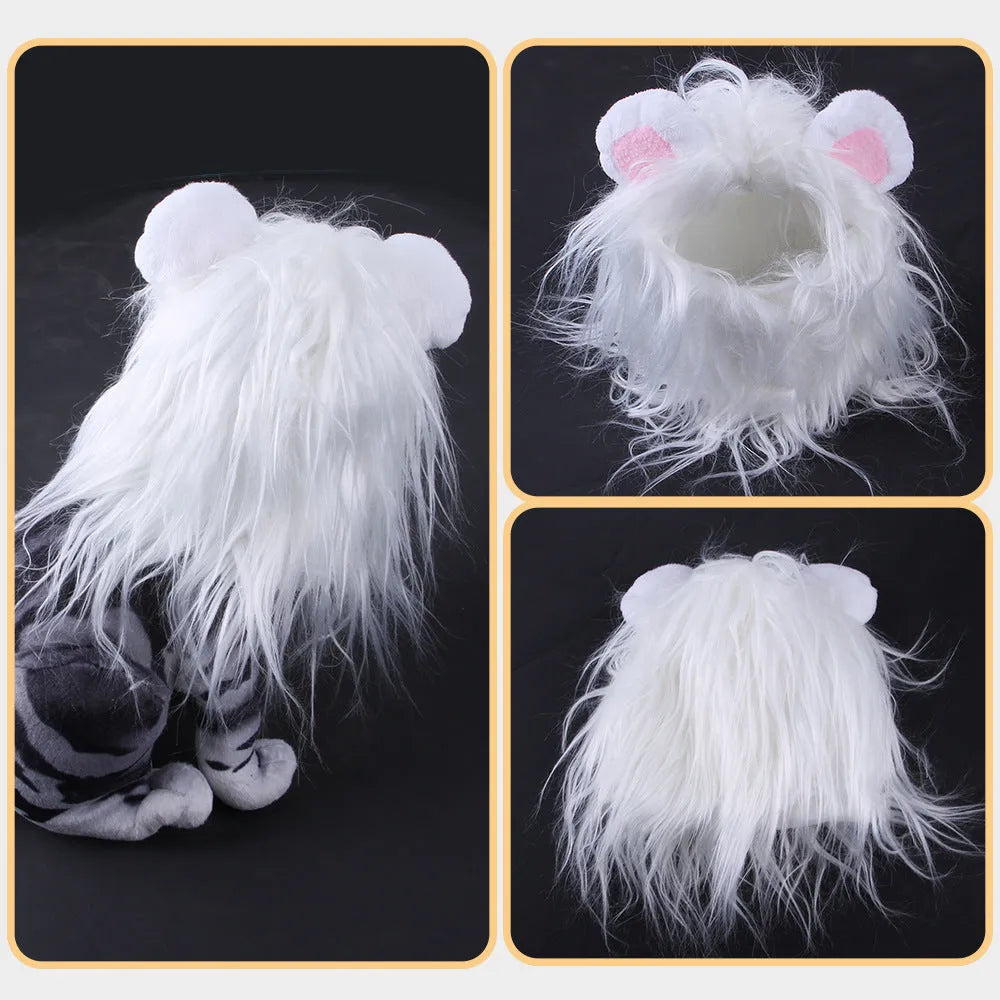 Pet cat wearing a black lion wig hat with synthetic fur mane, standing on a white background