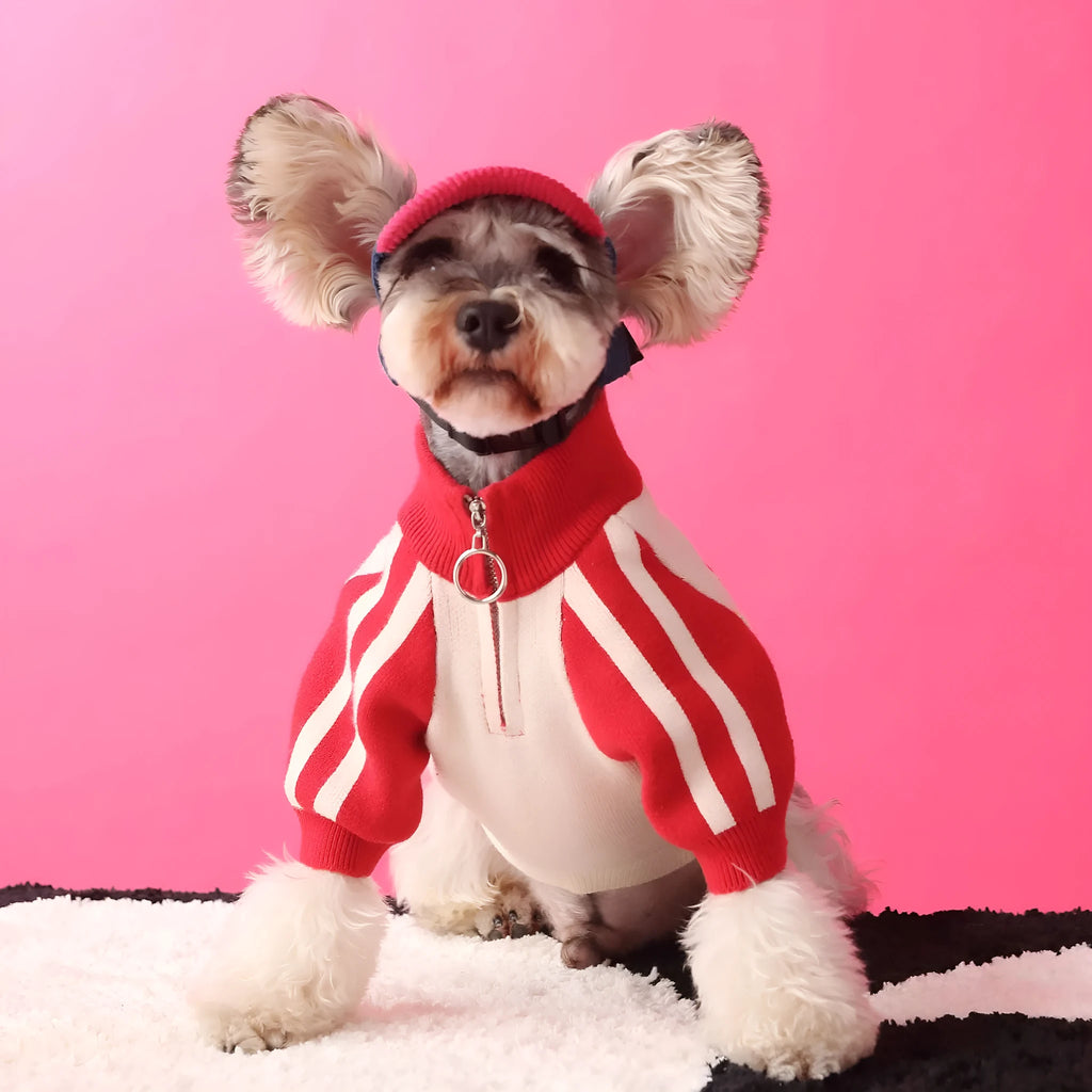 Red puppy dog sports sweater cardigan on canine model showing wool blend knit construction