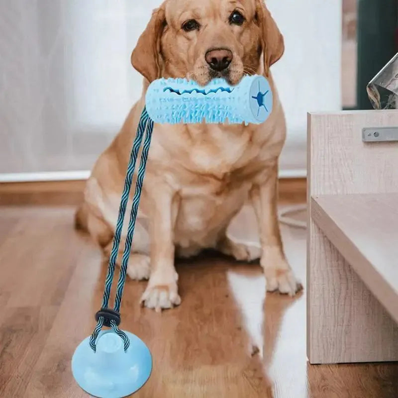Blue and pink dog chew ball toy with suction cup and food dispenser on tiled floor