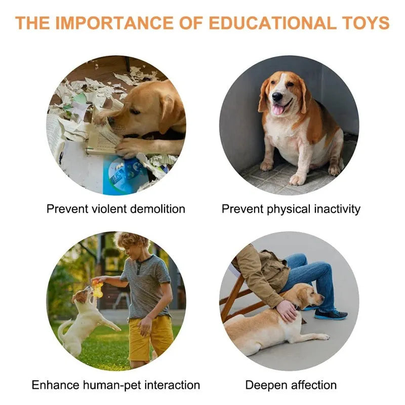 Pet communication button in orange, blue, grey, and yellow with optional 4-grid mat