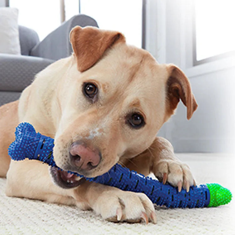 Blue and green silicone dog dental cleaning stick with textured bristles and nodules, 25 cm length