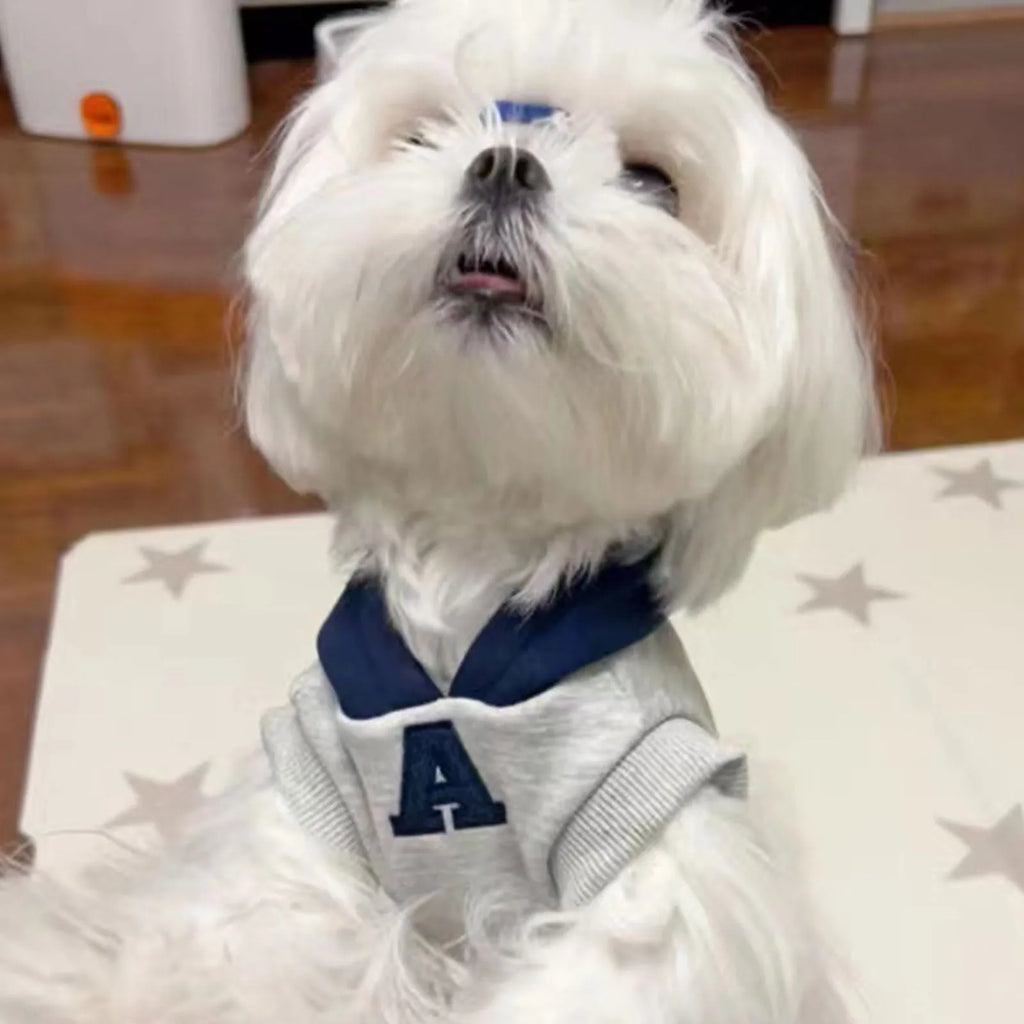 Blue and grey white pet hoodie with reflective letters for dogs and cats in slim-fitting design