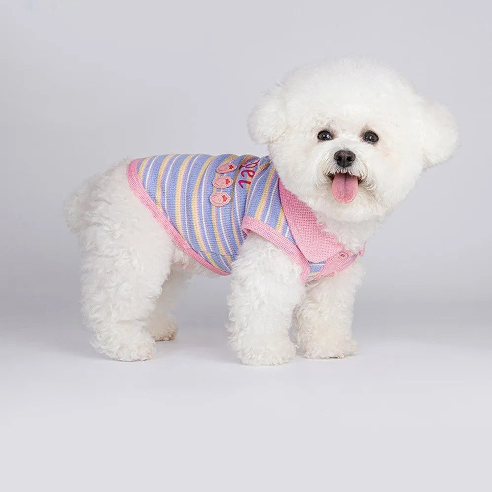 Pink purple knitted vest for small dogs and cats shown on size chart from XXS to XXL.
