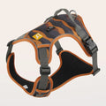Orange Oxford cloth dog walking rope with a hand loop and chest harness attachment on a grey background.