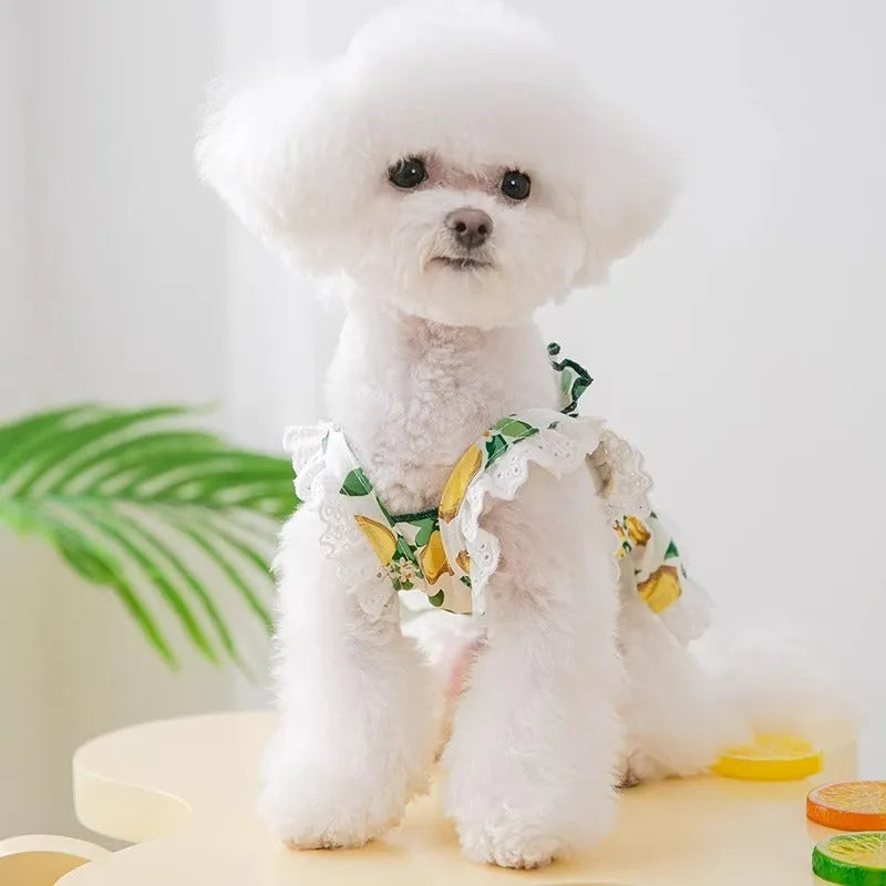 Rock yellow lemon polyester dog dress with thin strap skirt design shown on mannequin