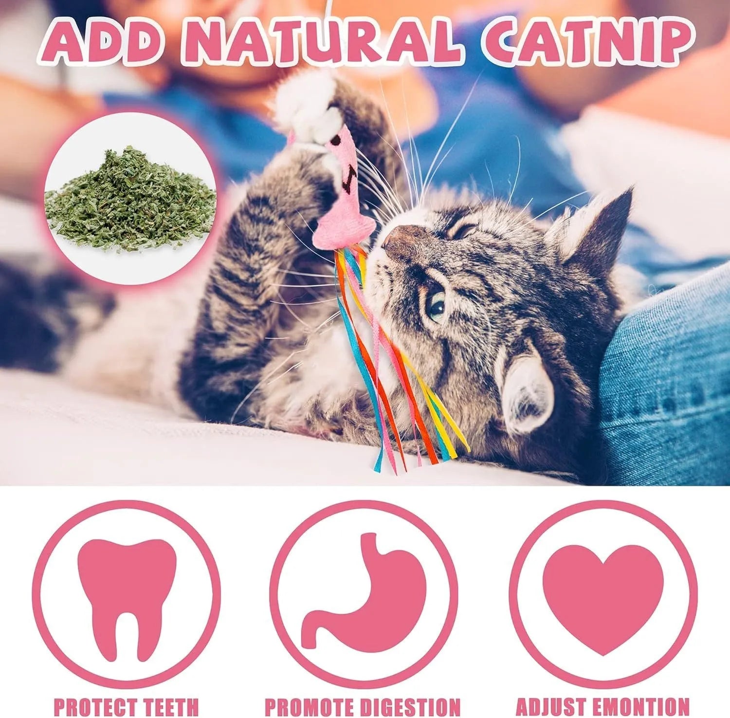 Interactive cat wand toy with wooden handle, colourful ribbons, catnip fish, and bell for indoor cat play