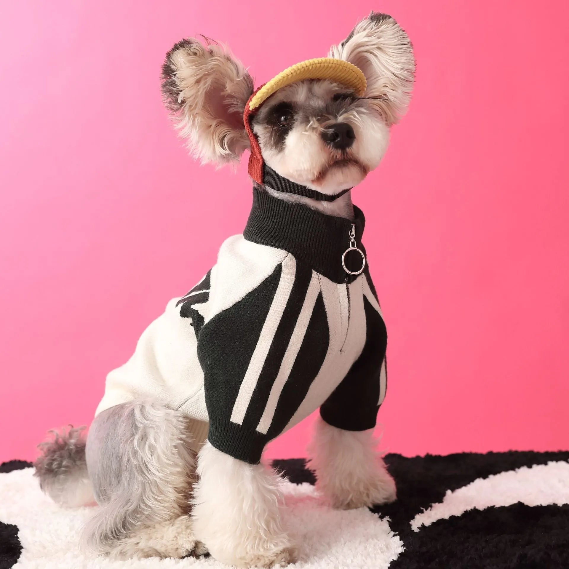 Red puppy dog sports sweater cardigan on canine model showing wool blend knit construction