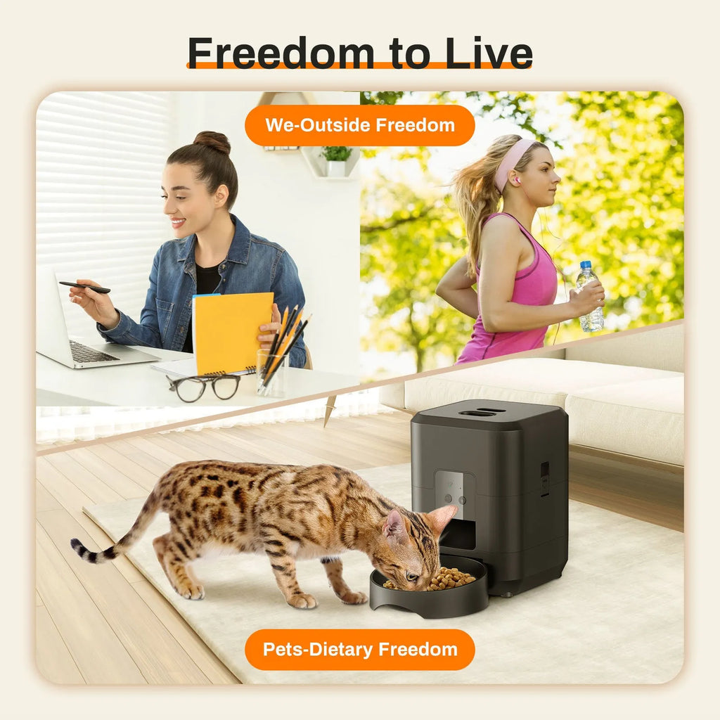 White automatic pet feeder with digital display and food container for cats