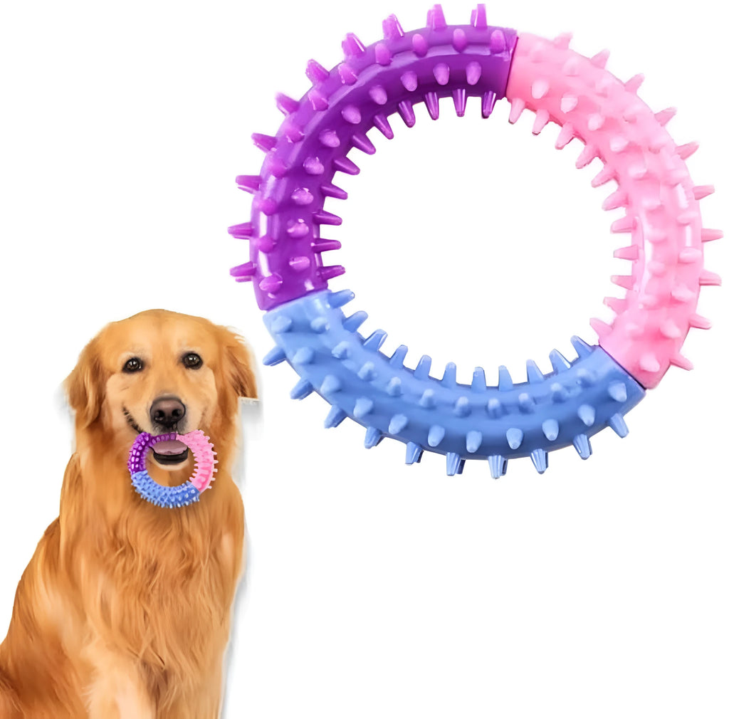 Rubber dog chew toy ring in blue for teething puppies, 10cm diameter