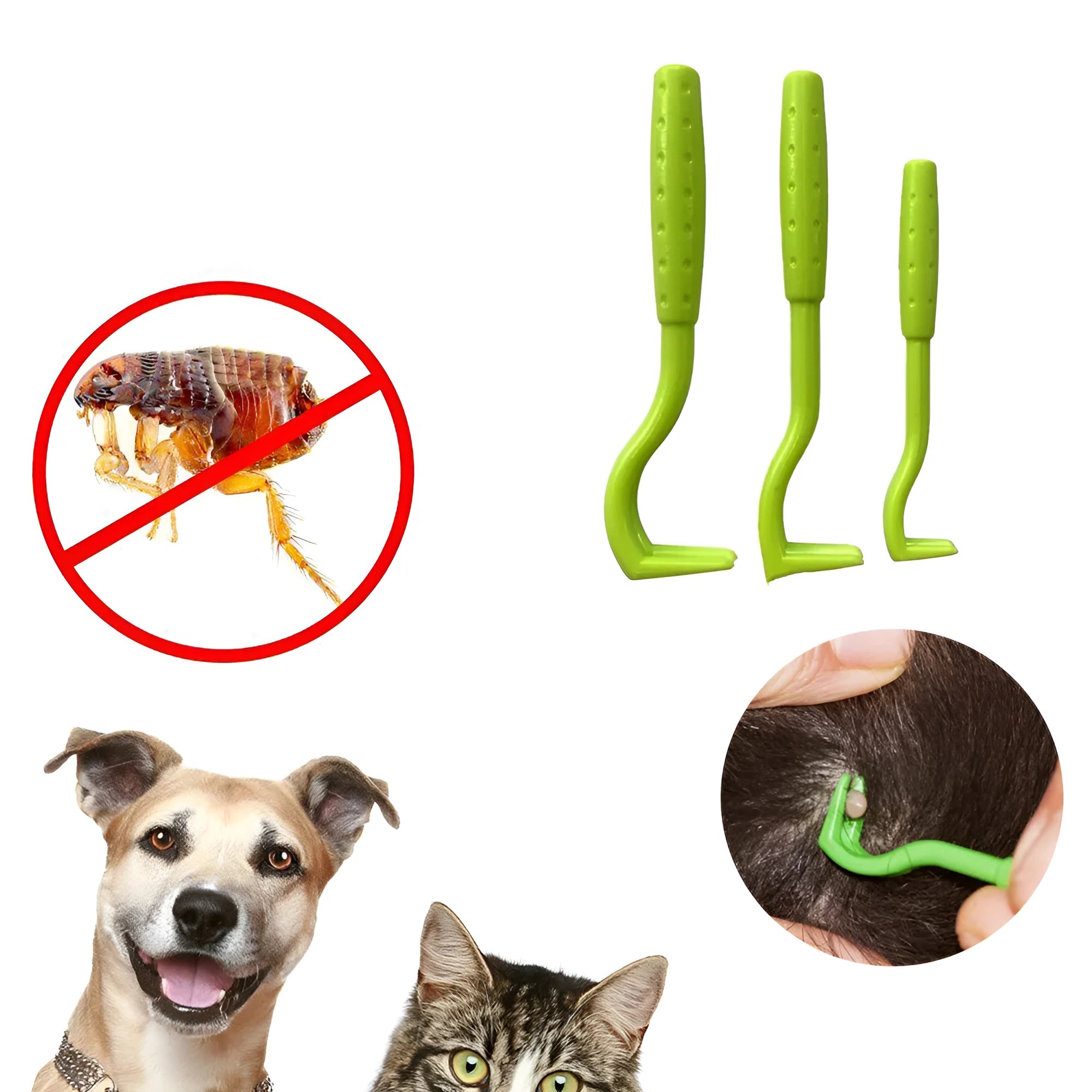 Three plastic tick removal hook tools for dogs and cats in blue colour