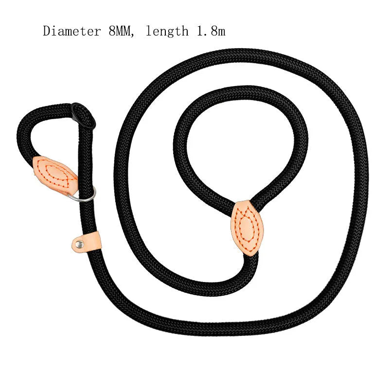 Dog training leash with blast collar mechanism in black, blue, coffee, red or white colour options