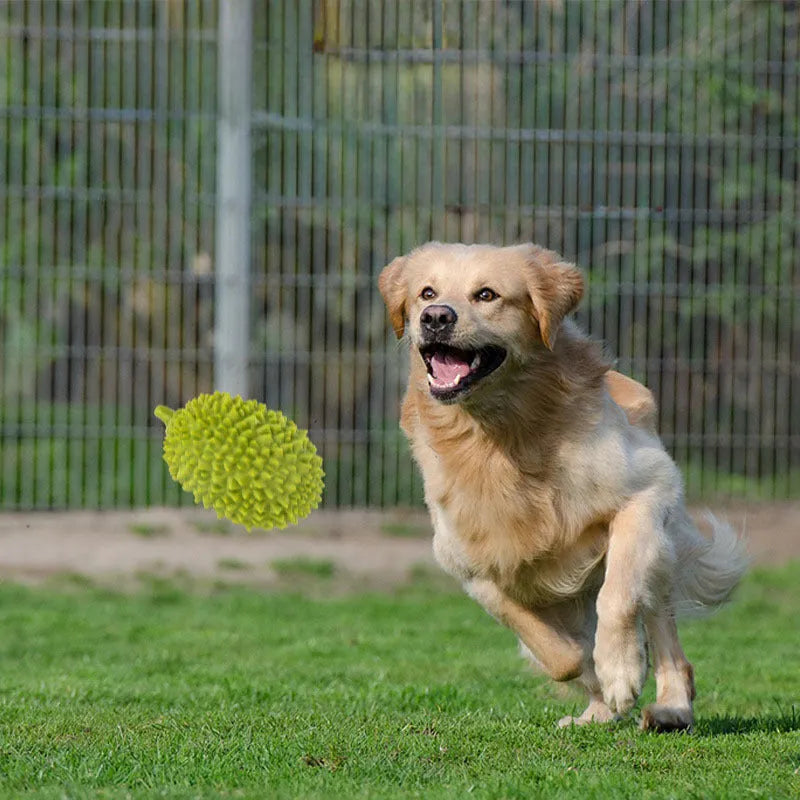 Durian-shaped milk-flavoured dog chew toy in beige with raised bumps for teeth cleaning and a bonus ball