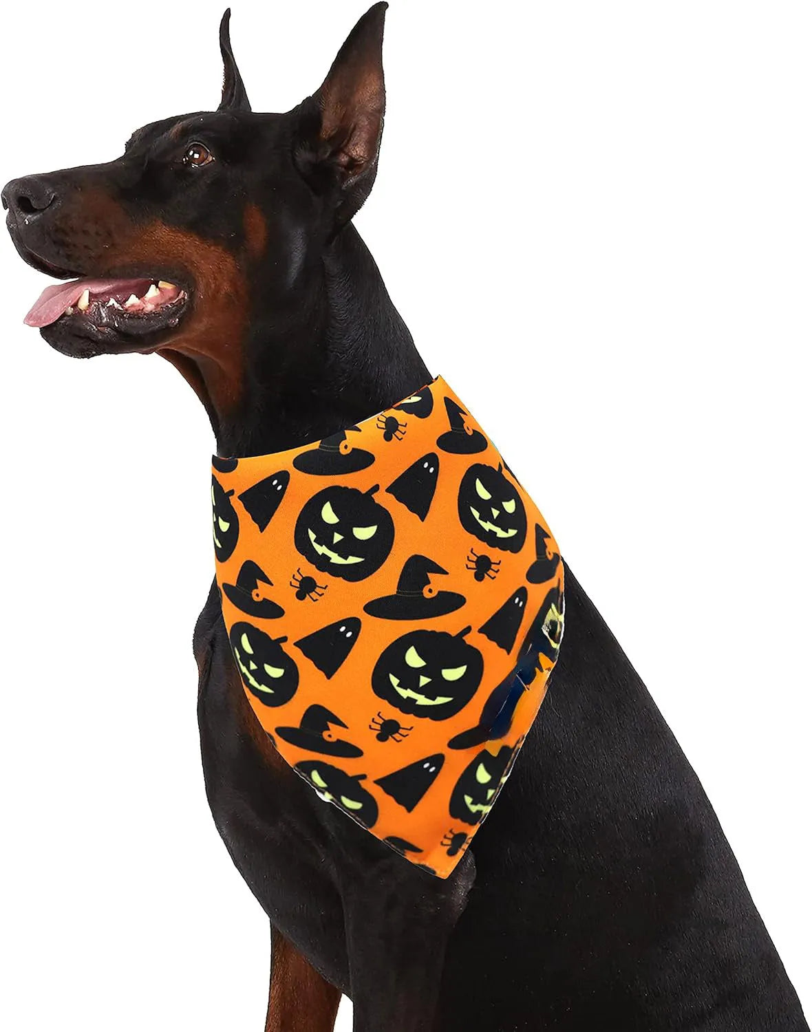 Halloween dog bandana with reversible pumpkin and spider web patterns on black and orange fabric