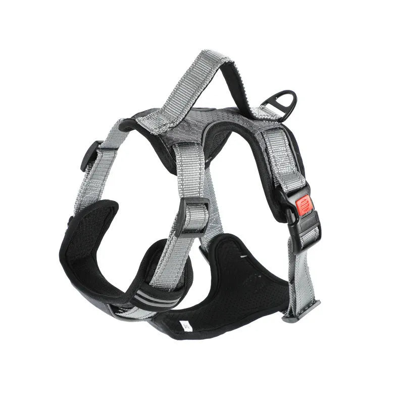 Adjustable dog harness with hand holding rope on back in various colours and sizes