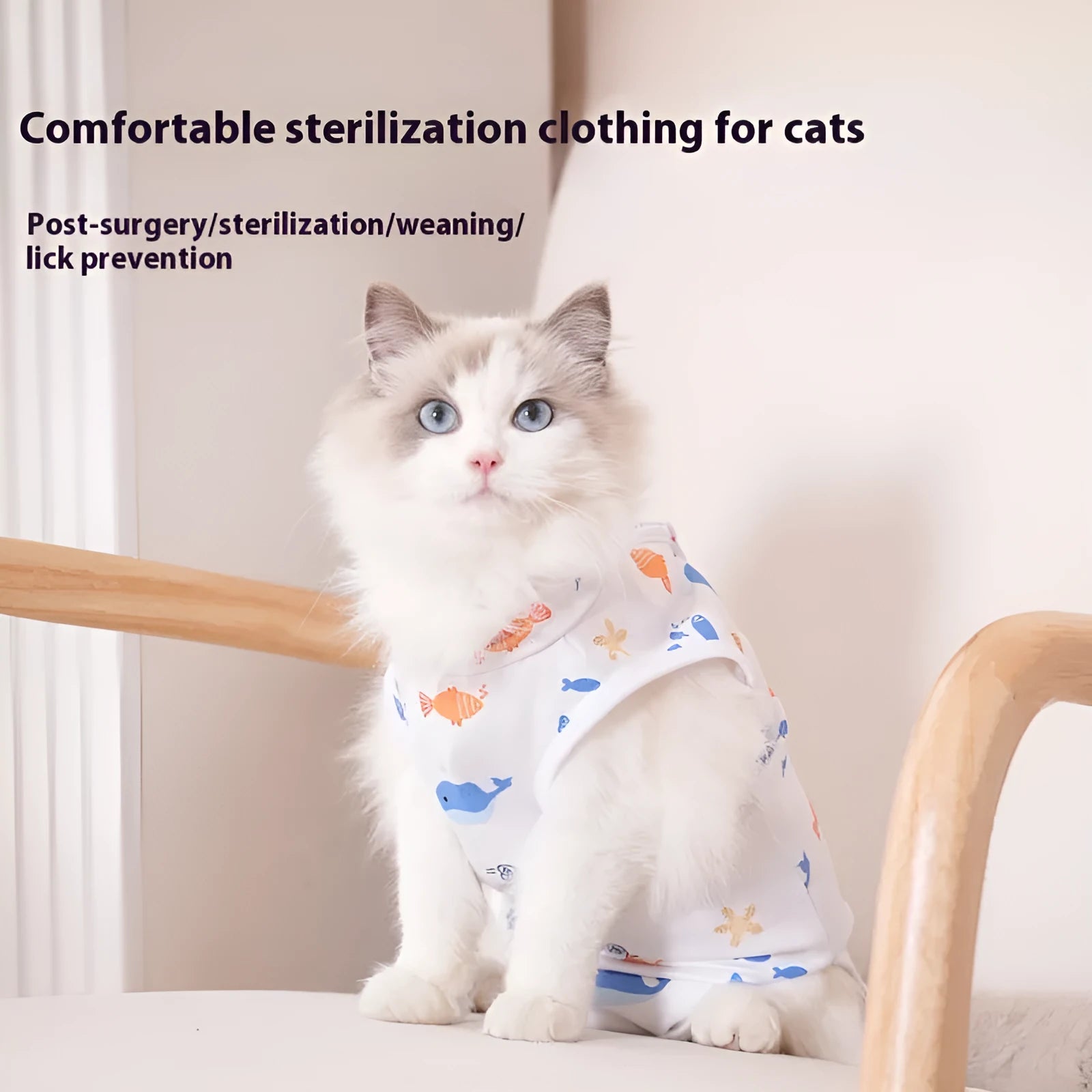 Cat wearing a patterned polyester sterilisation recovery suit with Velcro fastening on its side.