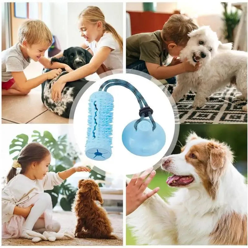 Blue and pink dog chew ball toy with suction cup and food dispenser on tiled floor