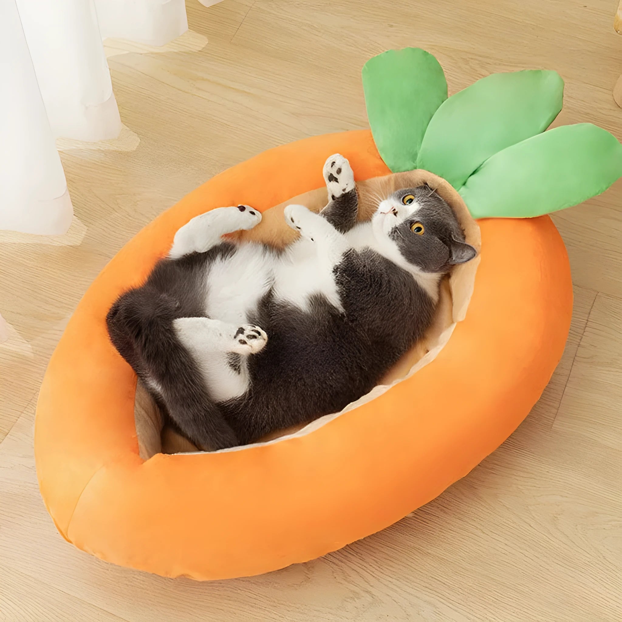 Cartoon carrot design double-sided dog bed with removable cover in medium and large sizes.