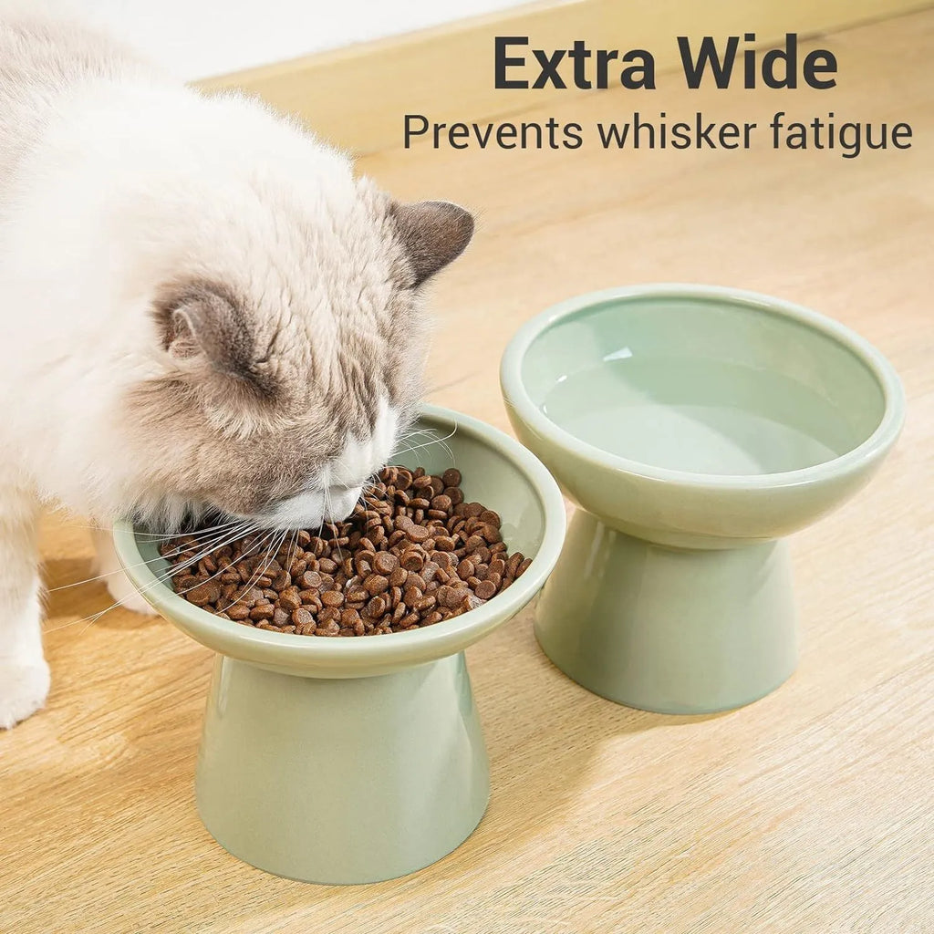 Blue ceramic elevated cat food bowl with wide shallow dish for whisker fatigue prevention.