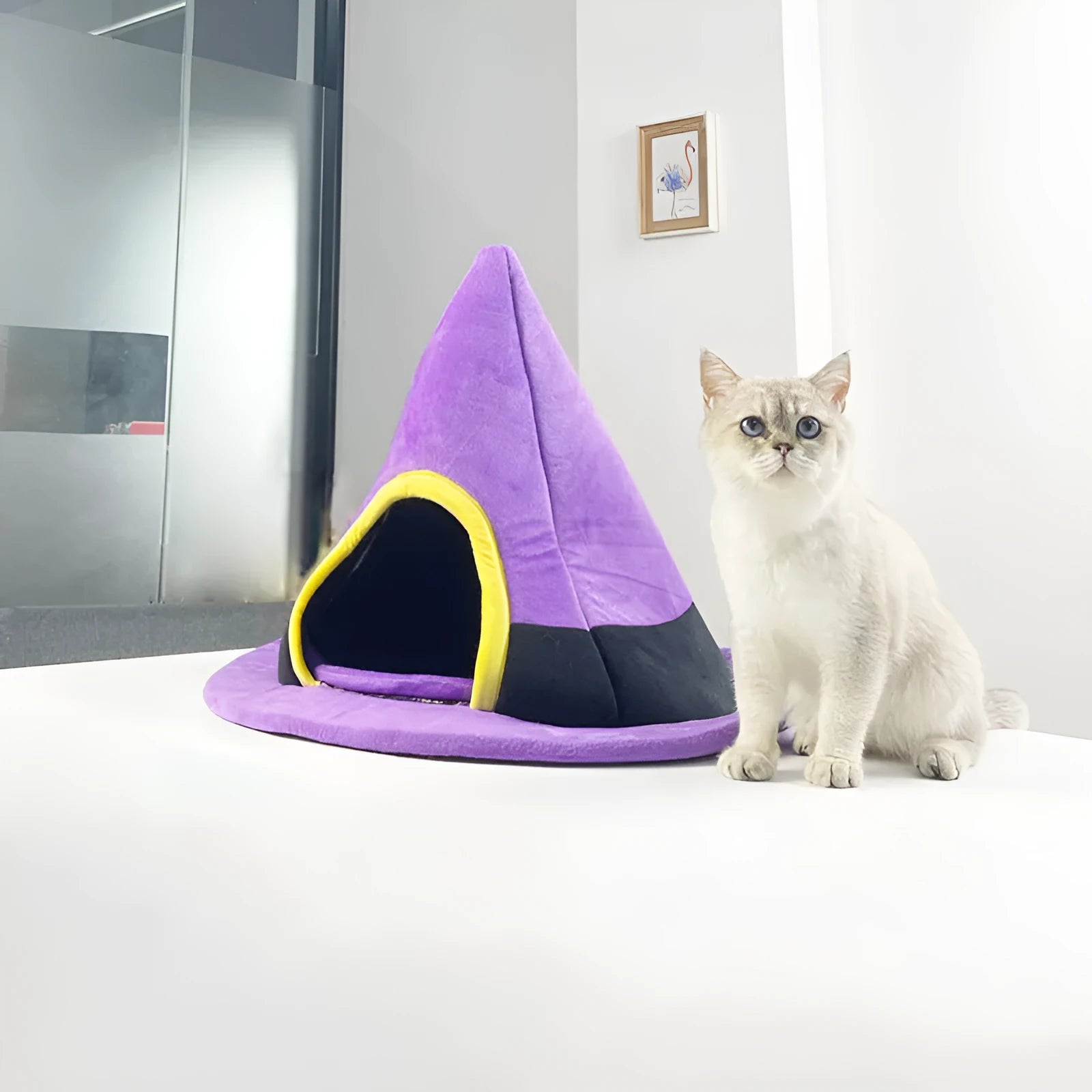 Purple witch hat shaped cat bed measuring 60x45cm with cloth construction