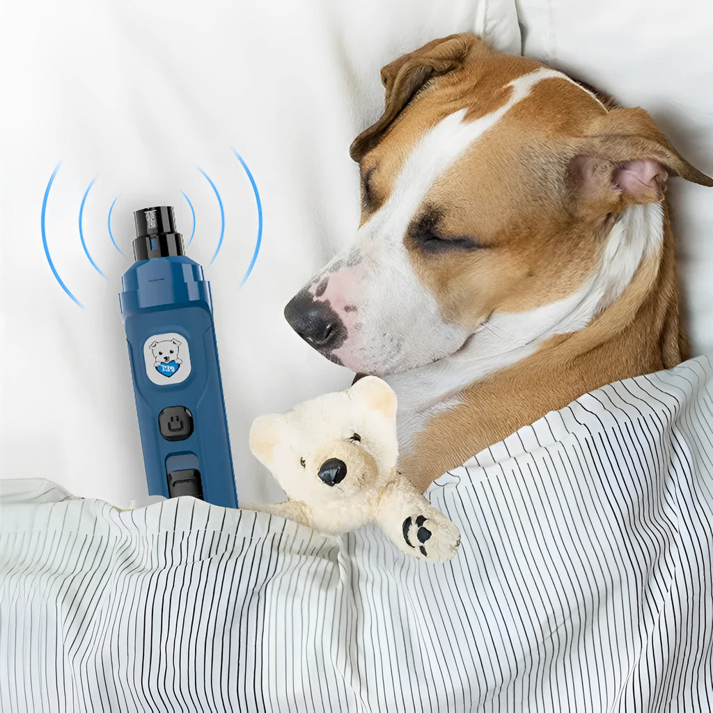 Blue pet electric nail sharpener with USB charging cable on white background