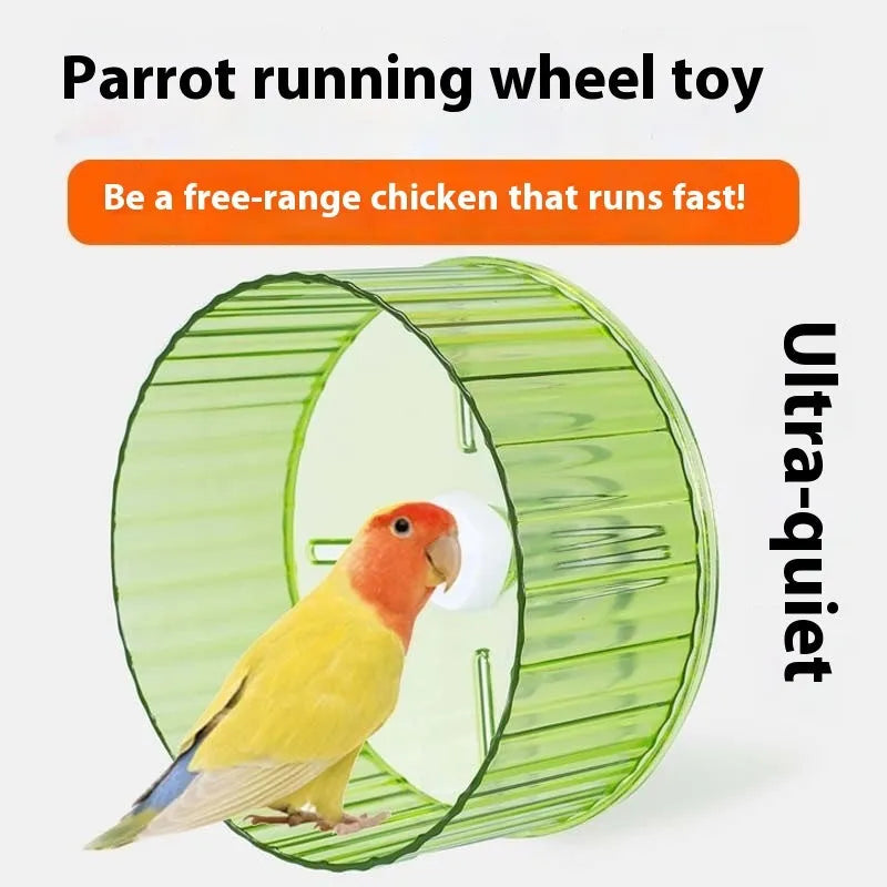 Plastic parrot running wheel toy in transparent, green, grey, orange, or purple colour, showing 17cm and 21cm size options.