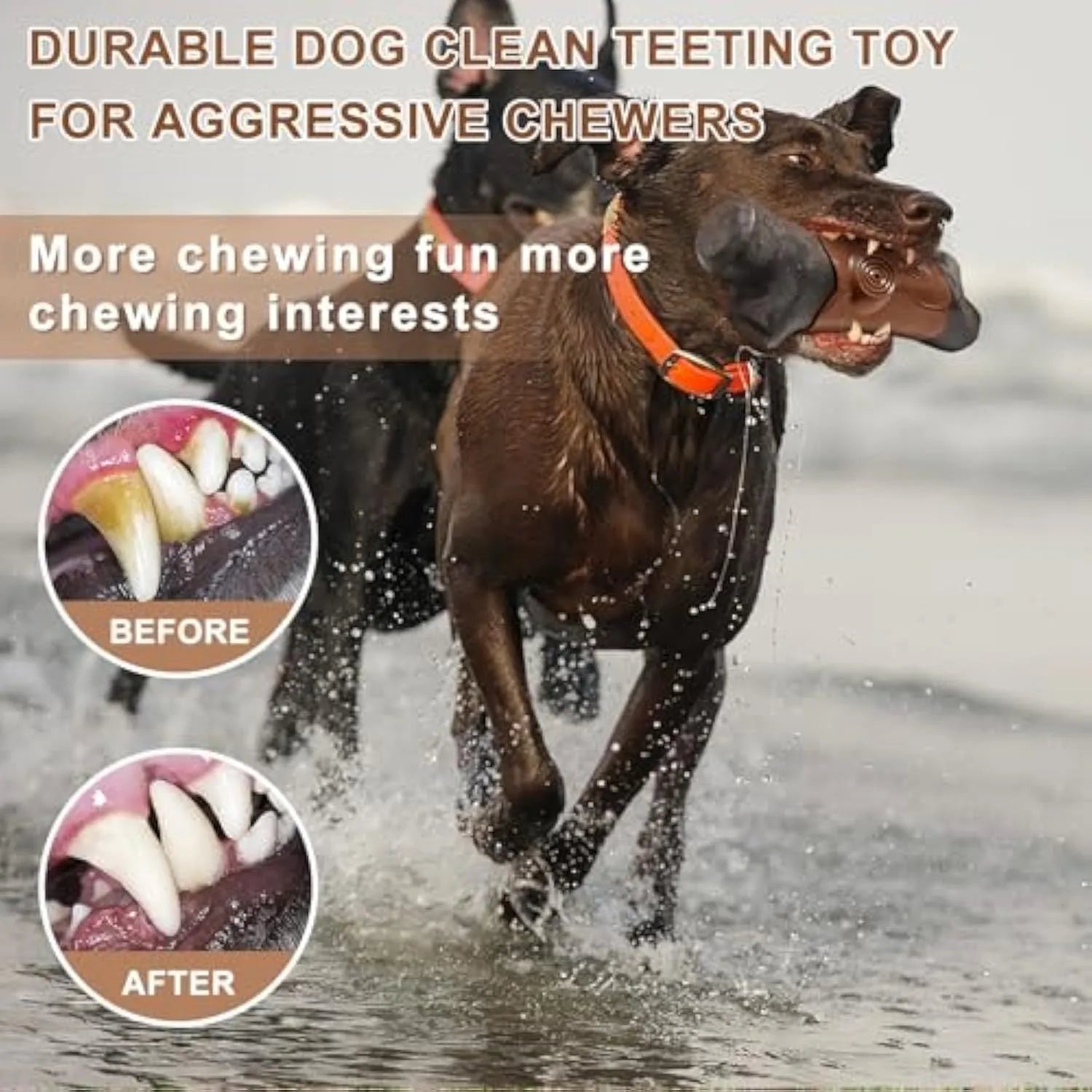 Heavy nylon dog chew toy in bone and branch shapes for large breed aggressive chewers.