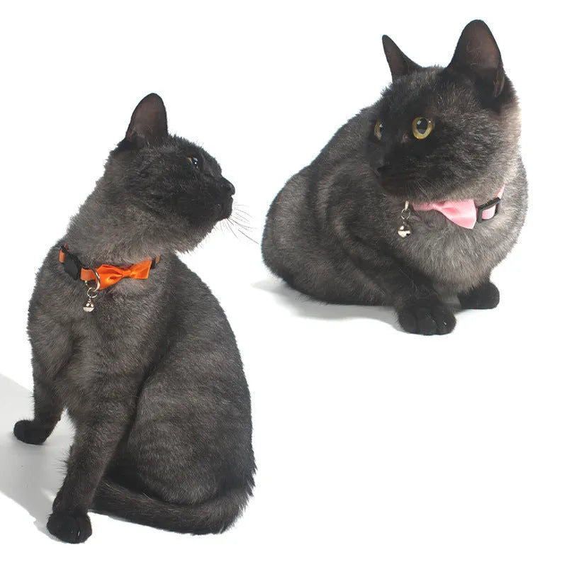 Adjustable nylon cat collar with bell in striped pattern showing multiple colour options