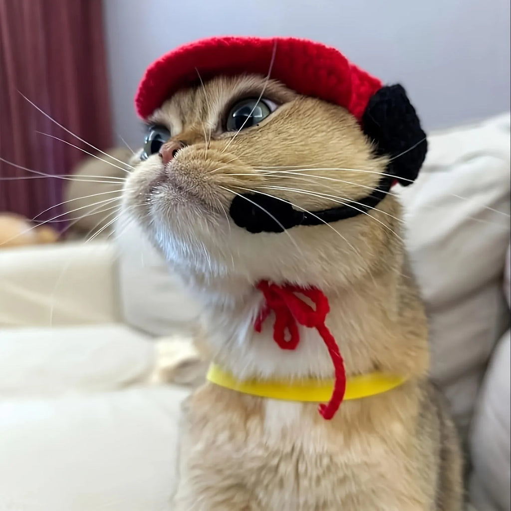 Handmade white cotton knitted sweater and red-trimmed chef hat for a small dog wearing the costume.