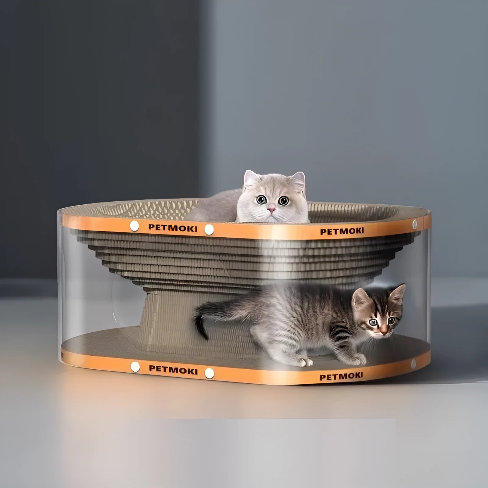 Transparent white cat scratch board nest tunnel toy with diamond design measuring 58x45x23cm