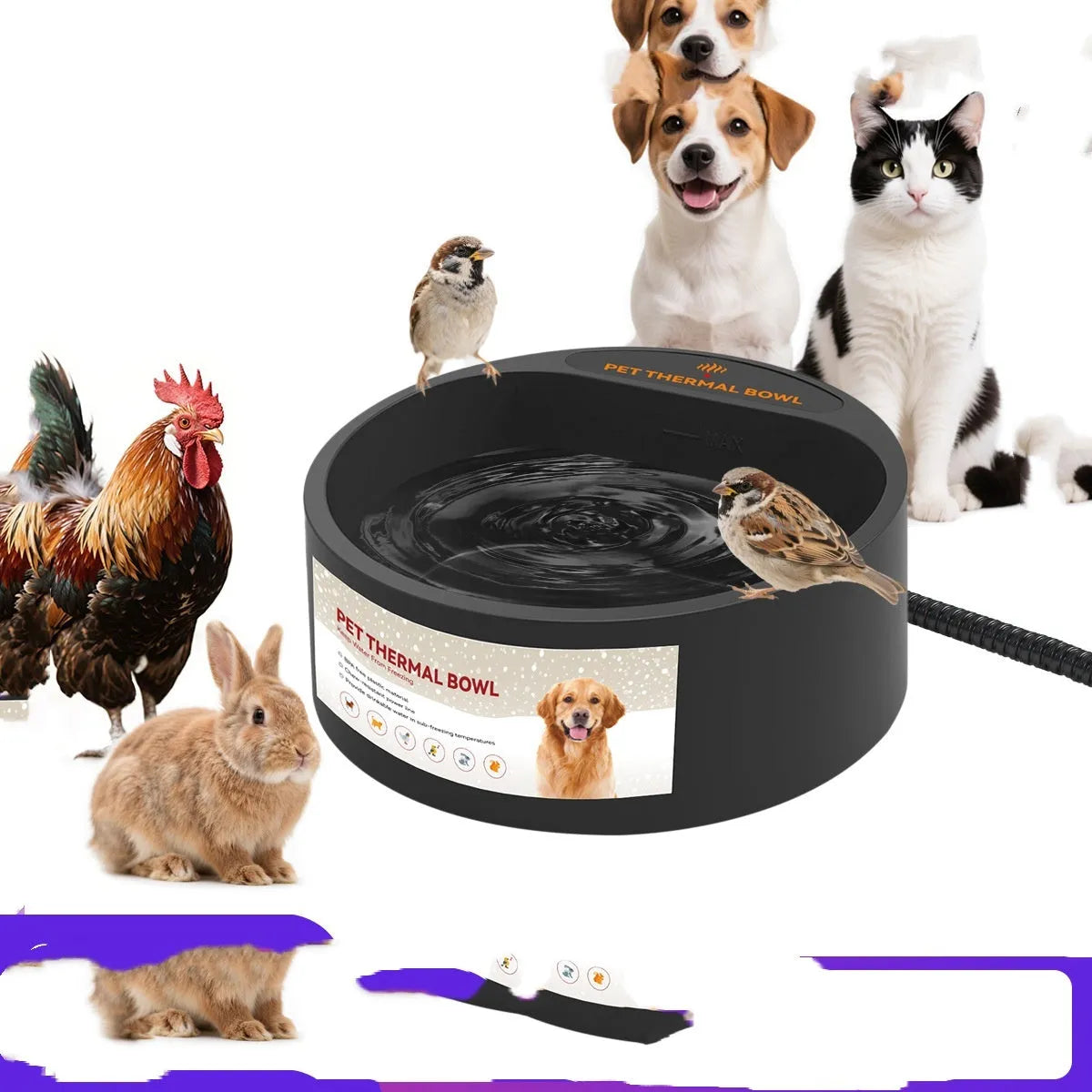 Black ABS plastic pet heating bowl with 2.2 litre capacity