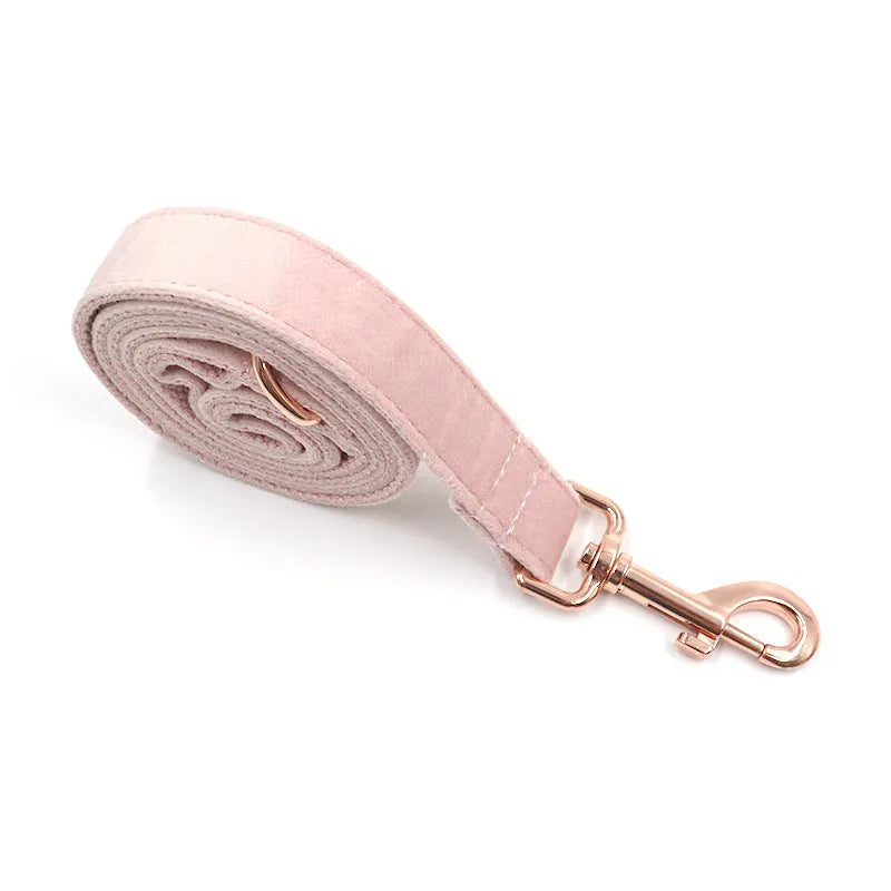 Pink velvet pet collar with rose gold hardware and matching leash on a white background